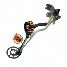 Metal detector Fisher F2 11'' DD