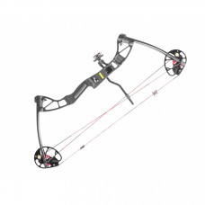 Loks Ek Rex Quad 15-55 lb 28"