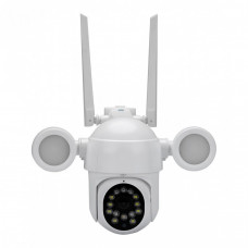 Redleaf IP Cam 1002 Wi-Fi